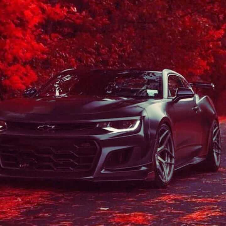 دانلود آهنگ دست من نیست اگه انقد دلم هواتو داره 